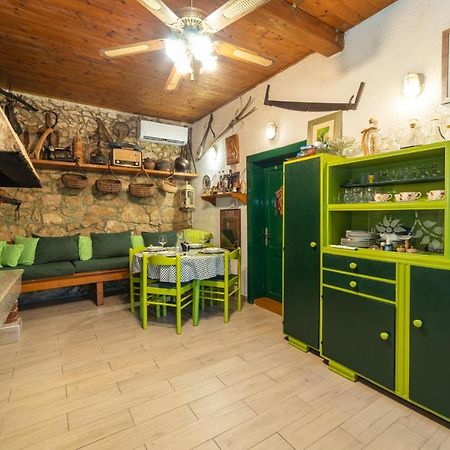 הוילה פלוצ'ה Etno House Wagner מראה חיצוני תמונה